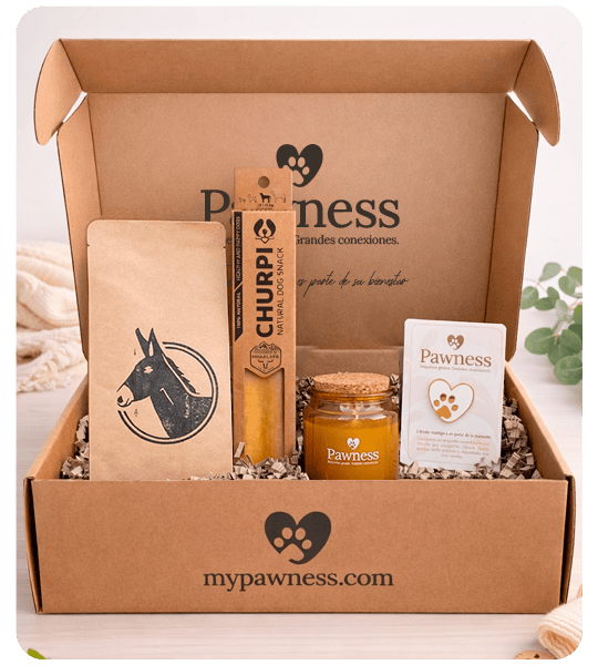 caja_cafe_mypawness Caja Refugio colección Calma - Imagen 1