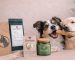 Cajas regalo para perros y sus humanos: la nueva forma de regalar momentos compartidos