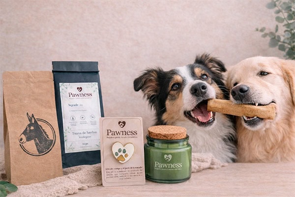 Cajas regalo para perros y sus humanos: la nueva forma de regalar momentos compartidos