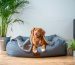 Tu perro también necesita calma: cómo crear un espacio seguro en casa
