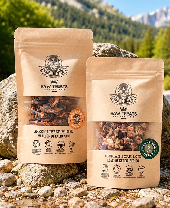 Snacks Raw Treats